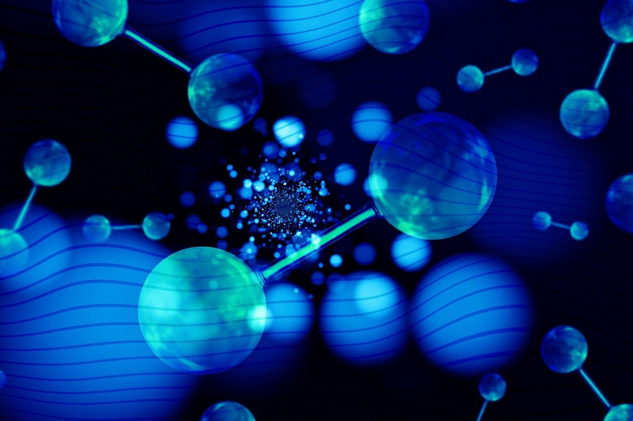 DNA Marker Genetic Purity Testing